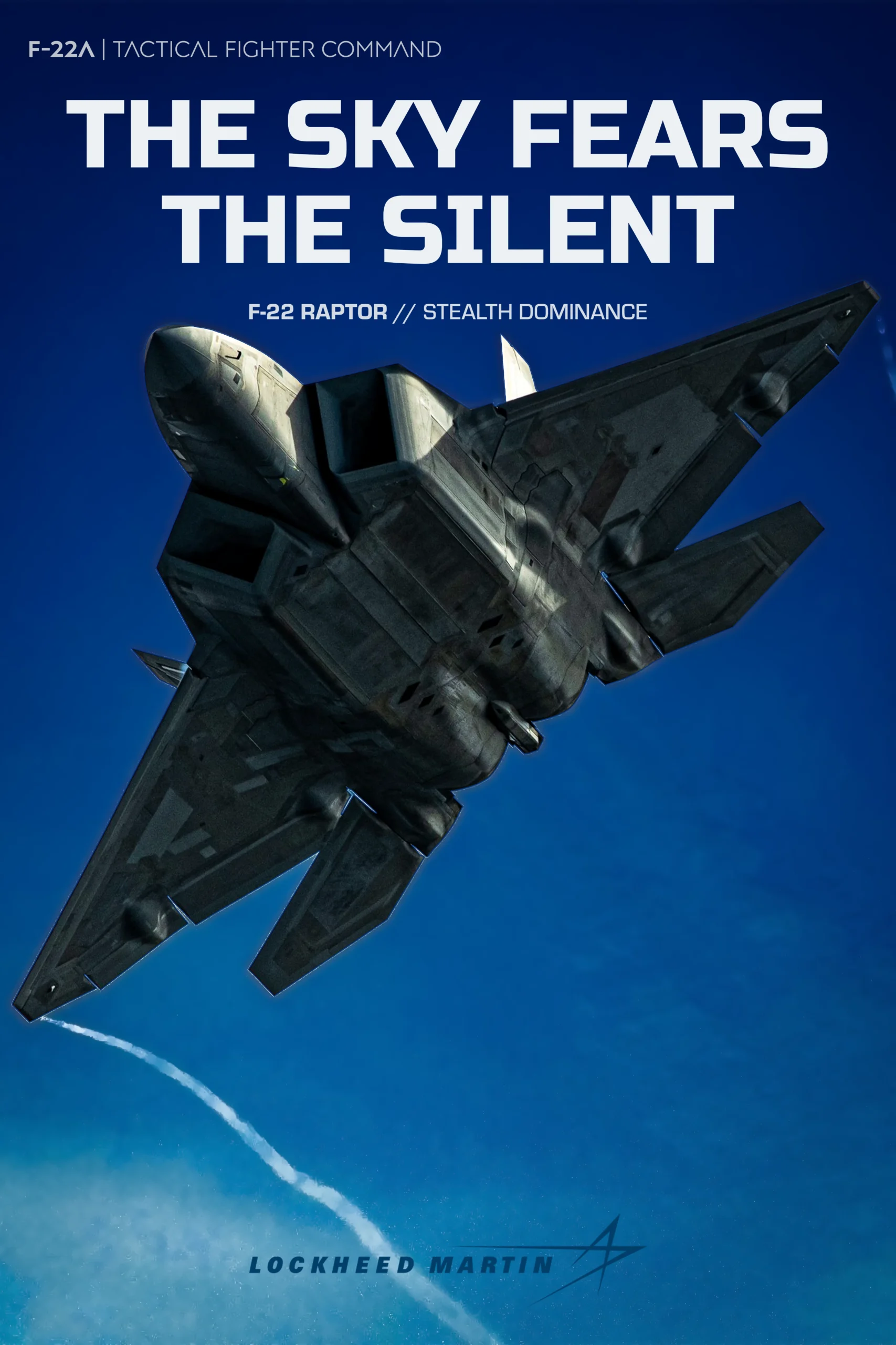 F22 Raptor stealth fighter jet graphic design edit